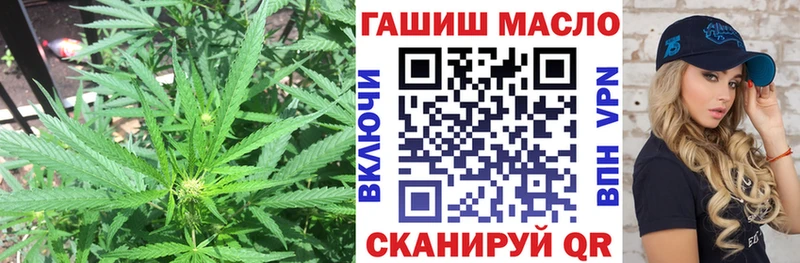 ТГК Wax  Велиж 