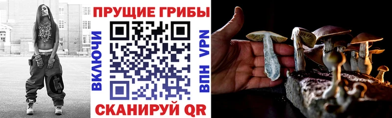 мега онион  Велиж  Псилоцибиновые грибы Magic Shrooms 